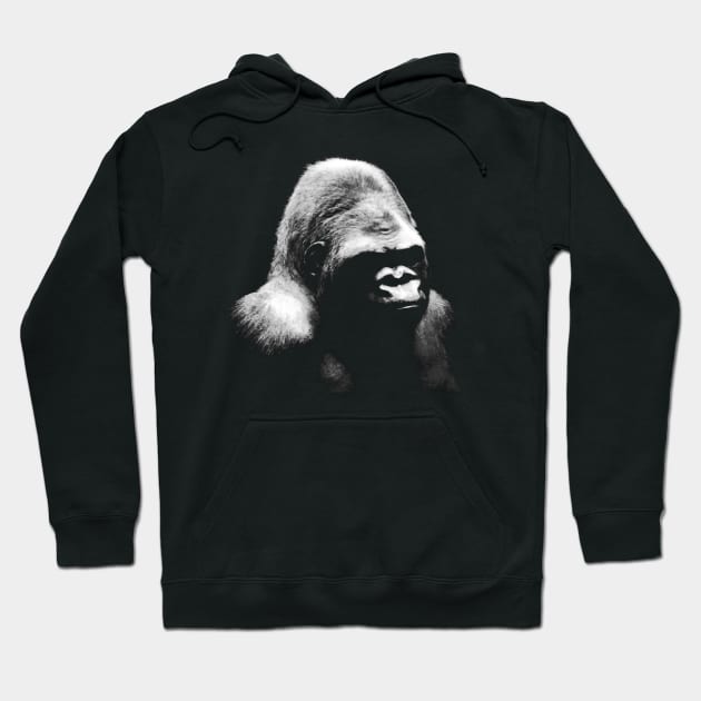 gorilla, monkey Hoodie by hottehue